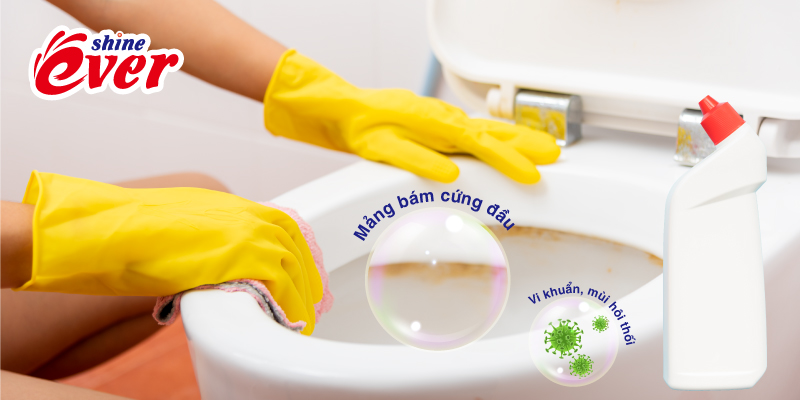 Nước tẩy thông thường không thể ngăn chặn vi khuẩn, mảng bám và mùi hôi quay trở lại