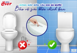 Đóng nắp bồn cầu khi xả nước để bảo vệ chính mình