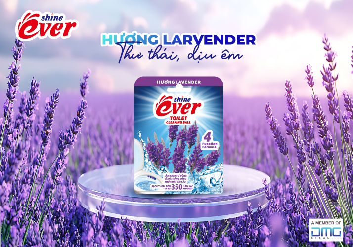 Viên treo bồn cầu Evershine hương Lavender