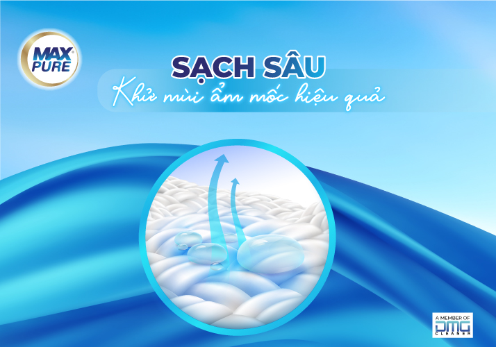 Sạch sâu: Khử mùi ẩm mốc hiệu quả