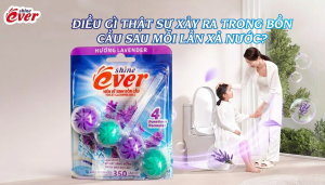 ĐIỀU GÌ THẬT SỰ XẢY RA TRONG BỒN CẦU SAU MỖI LẦN XẢ NƯỚC?