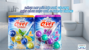 ĐÁNH BAY MÙI HÔI NHÀ VỆ SINH MỘT CÁCH HIỆU QUẢ