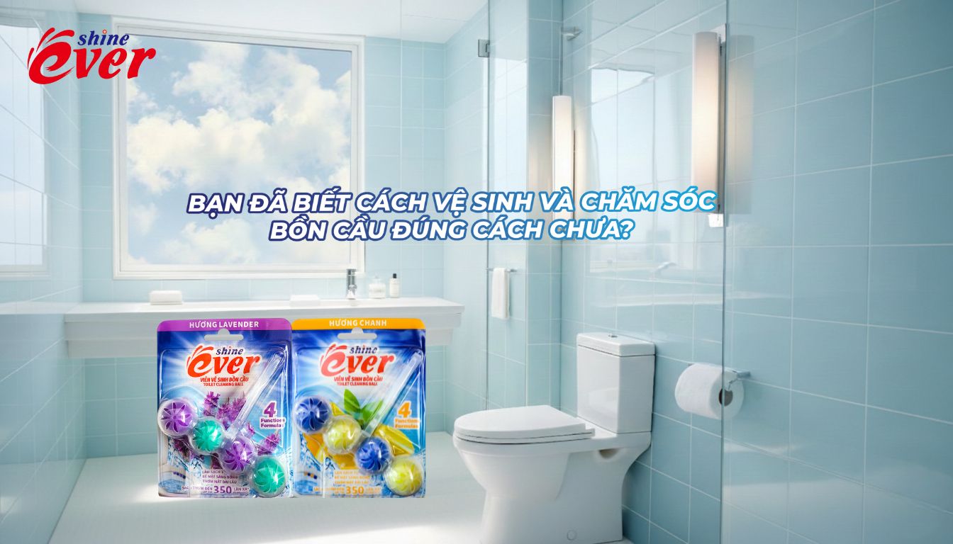 BẠN ĐÃ BIẾT CÁCH VỆ SINH VÀ CHĂM SÓC BỒN CẦU ĐÚNG CÁCH CHƯA?