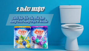 5 DẤU HIỆU CẢNH BÁO BỒN CẦU NHÀ BẠN ĐANG CHỨA HÀNG TRIỆU VI KHUẨN