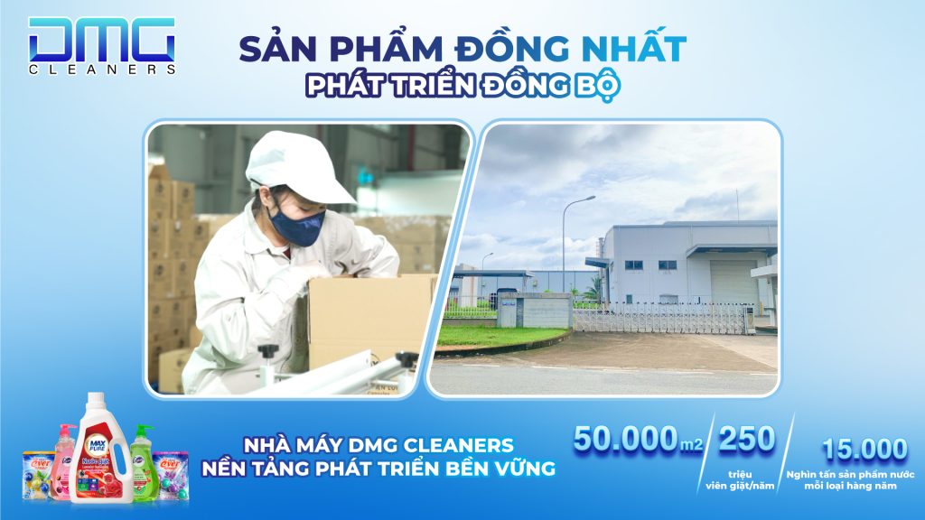 hai nhà máy DMG Cleaners tại Phú Thọ và Đồng Nai.